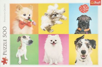 Puzzle 500 elementów: widok z przodu opakowania z kolażem sześciu uroczych psów na kolorowych tłach.