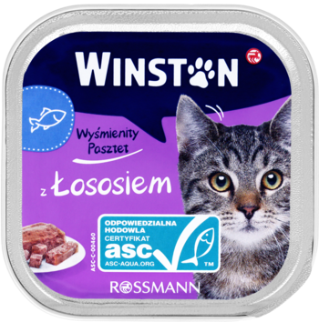 Winston karma dla kota z łososiem w kwadratowym, fioletowym opakowaniu z kotem i kawałkami pasztetu, widok z przodu.