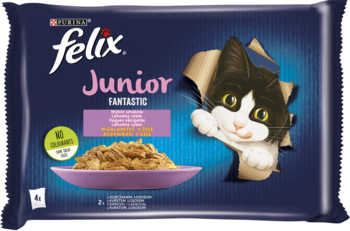 Niebieska saszetka karmy Felix Junior Fantastic dla kociąt, z kotem wychodzącym z opakowania, widok z przodu.