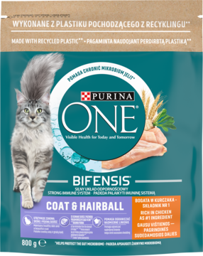 Karma Purina ONE Bifensis Coat & Hairball 800g, torba z kotem Maine Coon i kurczakiem, z przodu.