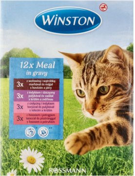 Front opakowania karmy Winston dla kota w sosie, 12x100g, z rudym kotem i tłem trawiastej łąki.