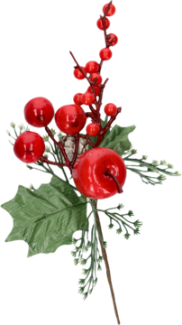https://pro-fra-s3-productsassets.rossmann.pl/product_1_medium/2067621_360_350_1695648038.png