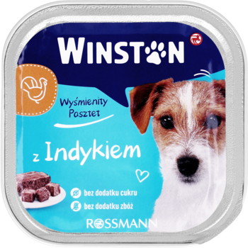 Kwadratowa karma Winston pasztet z indykiem dla psa, bez zbóż i cukru, na niebieskim tle, z psem, widok z góry.