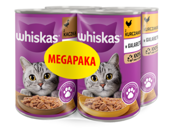 Whiskas: 4 puszki mokrej karmy dla kota (kurczak, kaczka), fioletowe z żółtą etykietą, widok z przodu.