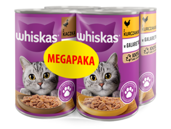 Whiskas: 4 puszki mokrej karmy dla kota (kurczak, kaczka), fioletowe z żółtą etykietą, widok z przodu.