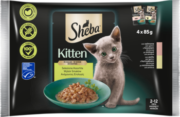 Front czarnego opakowania Sheba Kitten mokrej karmy dla kociąt, 4x85g, łosoś i kurczak. Widoczny szary kotek.
