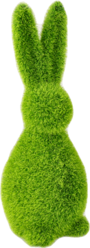 https://pro-fra-s3-productsassets.rossmann.pl/product_1_medium/2073016_360_350_1709175339.png