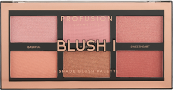 Profusion Blush I, paleta 6 róży, odcienie różu, brzoskwini i brązu, z matowym i błyszczącym wykończeniem, widok z góry.