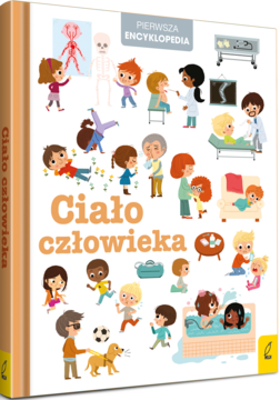 WILGA ,Pierwsza Encyklopedia, Ciało człowieka,przód