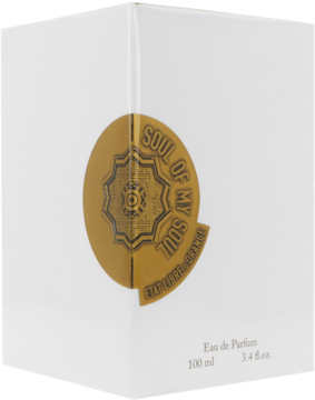 Białe pudełko perfum Soul of my Soul Eau de Parfum, z widoczną złotą naklejką i napisem 100 ml, widok z boku.