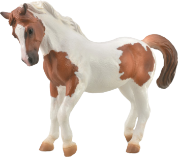 Figurka kuca Chincoteague, maść kasztanowato-srokata, biało-brązowa, widok z boku. Realistyczne detale.