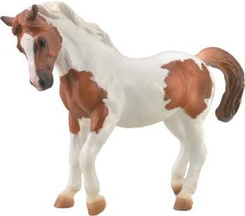 Figurka kuca Chincoteague, maść kasztanowato-srokata, biało-brązowa, widok z boku. Realistyczne detale.