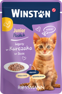 Winston Junior karma dla kota z kurczakiem w sosie, fioletowa saszetka, zadowolony rudy kotek, widok z przodu.