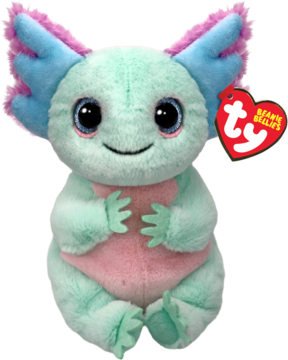 TY BEANIE BELLIES ,maskotka, aksolotl Alex 15 cm,przód