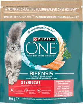 Purina ONE Sterilcat karma dla sterylizowanych kotów 800g, z łososiem. Zielone opakowanie z kotem.