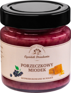 Miód porzeczkowy Ogródek Dziadunia w szklanym słoiku, czarna zakrętka, widok z przodu, z grafiką owoców.