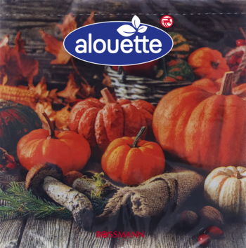 Jesienny obraz Alouette z pomarańczowymi dyniami, liśćmi i grzybami na tle drewna, Rossmann.