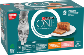 Purina ONE Adult Terrine mokra karma dla kota, kurczak/łosoś, turkusowe opakowanie z wizerunkiem kota i pasztetu.