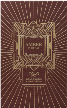 Bordowe opakowanie męskiego ekstraktu perfum Amber Is Great Naya 100ml, złoty art deco, widok z przodu.