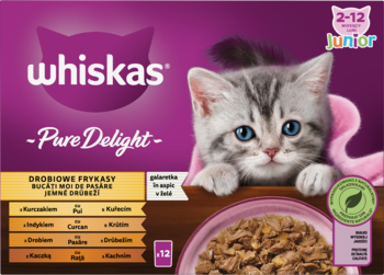 Fioletowe opakowanie karmy Whiskas Pure Delight Junior 2-12 miesięcy, drobiowe frykasy w galaretce z kotkiem.