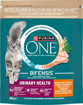 Purina ONE BIFENSIS Urinary Health karma dla kota. Zielona torba z kotem, kurczakiem, widok z przodu.