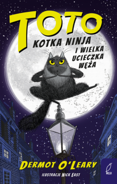 Okładka książki "Toto Kotka Ninja i Wielka Ucieczka Węża". Czarny kot ninja na latarni, duży księżyc, noc w Londynie.