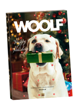 WOOLF KALENDARZ ŚWIĄTECZNY 100g. Okładka z labradorem trzymającym zielony prezent, świąteczne tło.