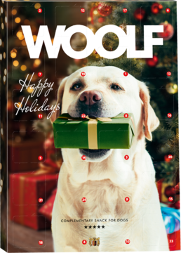 WOOLF ,kalendarz adwentowy z przysmakami dla psów, 24 elementy,przód
