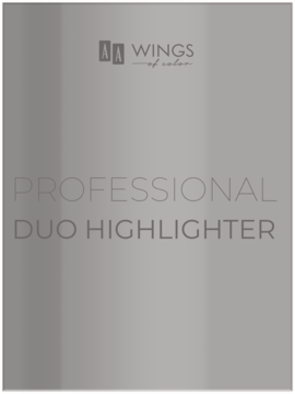 Szare opakowanie Professional Duo Highlighter Wings of Color z logotypem i pionowym gradientem, widok z przodu.