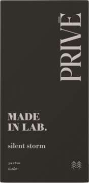 Prostokątne opakowanie perfum PRIVE MADE IN LAB. silent storm, męski zapach drzewno-cytrusowy, widok z przodu.
