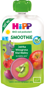 HiPP BIO Smoothie 120ml w białej saszetce z zieloną nakrętką, jabłka, winogrona, kiwi i maliny, widok z przodu.