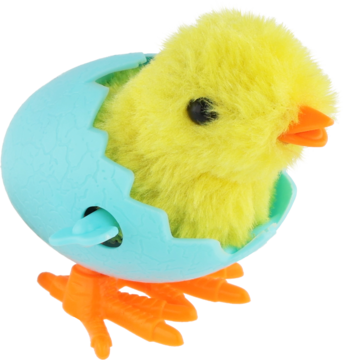 Puszysty żółty kurczak-pisklę w niebieskim, pękniętym jajku, z pomarańczowym dziobem i nóżkami, widok z boku.