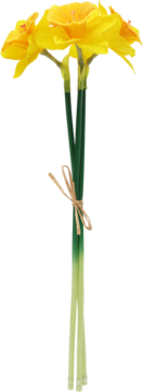 Bukiet żółtych narcyzów z zielonymi łodygami, przewiązanych naturalną kokardką z rafii na czarnym tle.