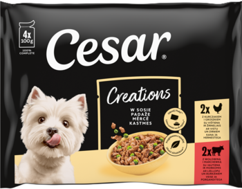 Czarna saszetka Cesar Creations karma dla psa 4x100g z kurczakiem i wołowiną w sosie; pies Westie. Widok z przodu.