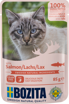 Bozita karma dla kota, saszetka 85g z łososiem w sosie, grain free, widok przodu, szary kot.