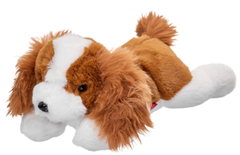 Pluszowa maskotka psa, leżąca na brzuchu. Brązowo-biały Cavalier King Charles Spaniel z puszystym futerkiem.