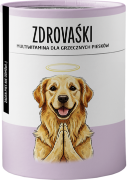 Zdrovaśki Multiwitamina dla psów w fioletowym opakowaniu z wizerunkiem psa z aureolą, widok z przodu.