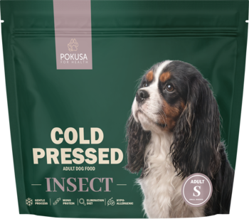 Zielona karma dla psa Pokusa Cold Pressed Adult Insect S, z psem rasy Cavalier King, widok z przodu.