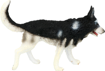 Figurka psa rasy Siberian Husky w ruchu, z czarno-białym umaszczeniem i niebieskimi oczami, widok z boku.