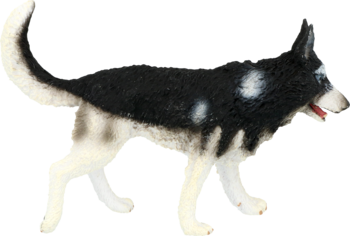 Figurka psa rasy Siberian Husky w ruchu, z czarno-białym umaszczeniem i niebieskimi oczami, widok z boku.