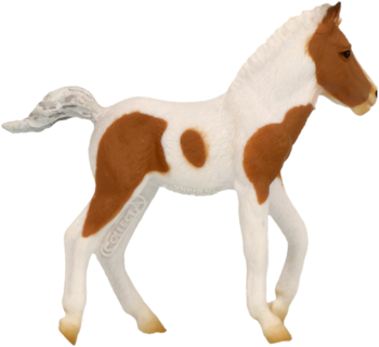 Figurka źrebięcia rasy Dartmoor Hill, gniada maść z białymi łatami, stojąca pozycja, widok z boku.