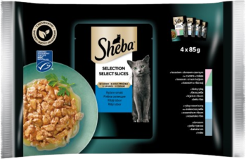 Sheba Selection Rybne Smaki, 4x85g multipak. Frontalny widok z karmą kawałki w sosie na talerzu i szarym kotem.