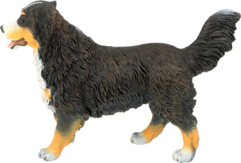 Szczegółowa figurka berneńskiego psa pasterskiego, trójkolorowa (czarno-brązowo-biała) z futrzaną teksturą, z profilu.