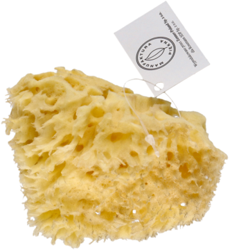 Gąbka do ciała naturalna, w jasnym, kremowym odcieniu, z wyraźną porowatą strukturą i białą metką.