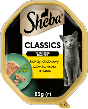 Złota tacka karmy Sheba Classics Koktajl drobiowy 85g, z szarym kotem i pasztetem drobiowym na etykiecie, z góry.