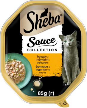 Sheba Sauce Collection frykasy indyk i warzywa, złota tacka z czarną etykietą, widok z góry. Szary kot z miseczką karmy.