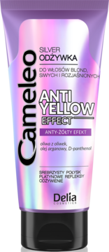 Cameleo Silver Odżywka Anti-Yellow w fioletowej tubce z iryzującym blaskiem, widok z przodu, czarna nakrętka.