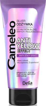 Cameleo Silver Odżywka Anti-Yellow w fioletowej tubce z iryzującym blaskiem, widok z przodu, czarna nakrętka.