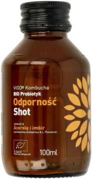 VIGO Kombucha BIO Probiotyk Odporność Shot, brązowa butelka 100ml, czarna nakrętka, etykieta z kwiatem, widok z przodu.