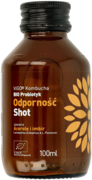 VIGO Kombucha BIO Probiotyk Odporność Shot, brązowa butelka 100ml, czarna nakrętka, etykieta z kwiatem, widok z przodu.